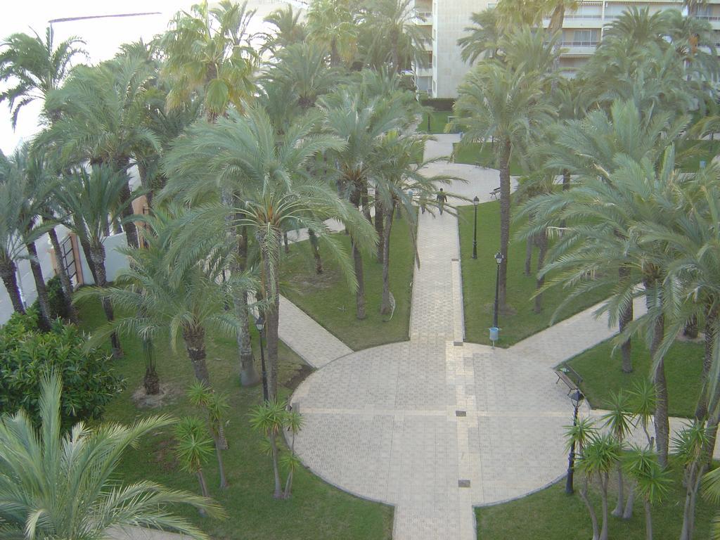 Palmeral De Torrevieja Exterior foto