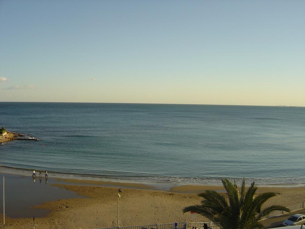 Palmeral De Torrevieja Exterior foto