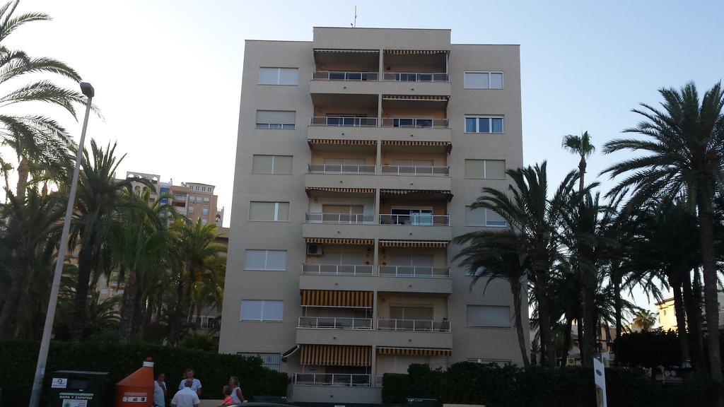 Palmeral De Torrevieja Exterior foto